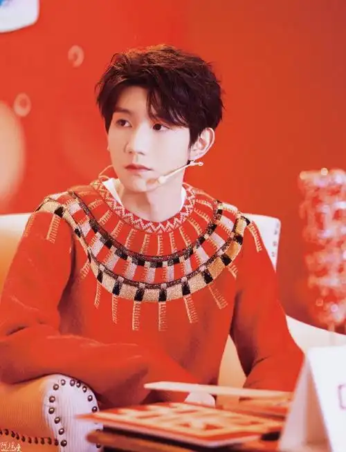 中华品牌代言人王源