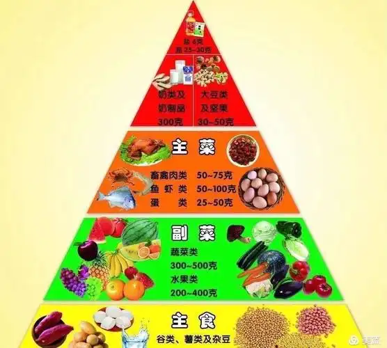 儿童膳食结构金字塔