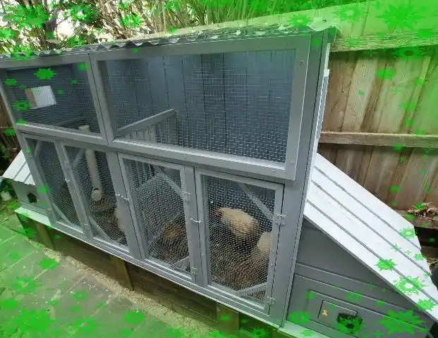diy乐趣:自建鸡舍