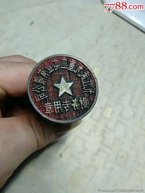 九江武九重工实业有限公司财务专用章牛角印章