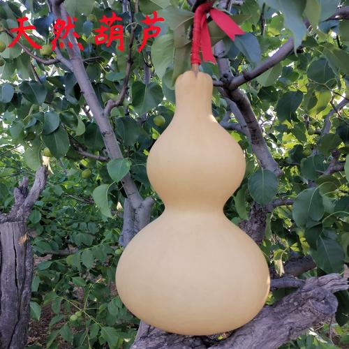 天然葫芦摆件手捻文玩葫芦饰品特大真葫芦带龙头家居客厅对门挂件