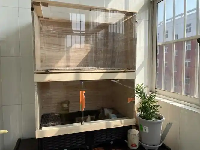 自制芦丁鸡房实用教程