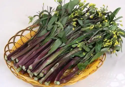 绿色菜柳上面的花能不能吃掉