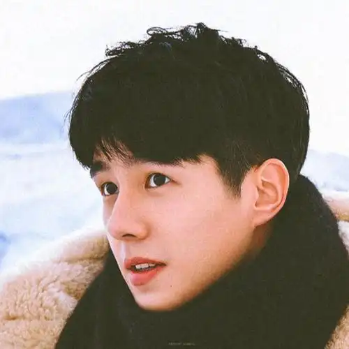 刘昊然头像合集‖"萧萧肃肃,爽朗清举"