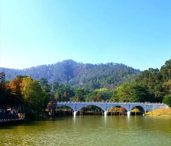 美丽的大夫山森林公园