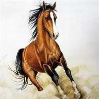 吉祥发财微信头像属马最吉祥微信头像属兔吉祥招财微信头像属猪的能