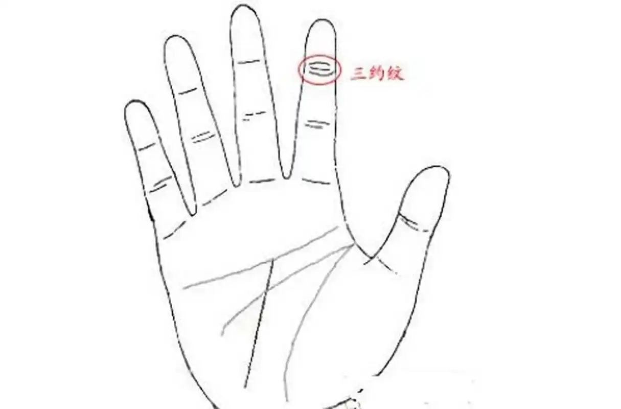 三豹纹  所谓的三豹纹,就是指在食指上方有一条横财出现,一般有这样