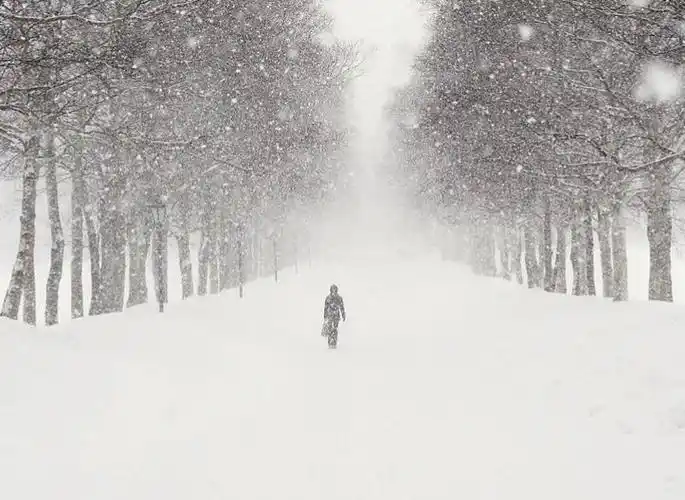 雪中送发小远行