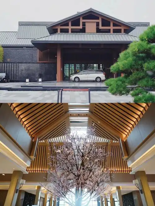 南京园博园威斯汀带娃泡温泉的必选酒店