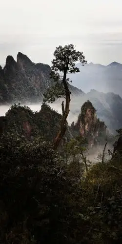 湖南莽山五指峰