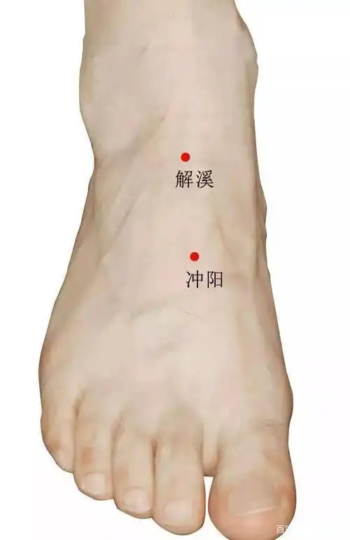 冲阳穴:和胃化痰,通络宁神!