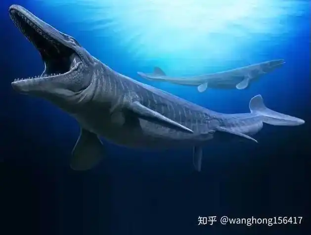 远古四大顶级爬行动物#沧龙#普鲁斯鳄#泰坦蚺#古巨蜥 - 抖音