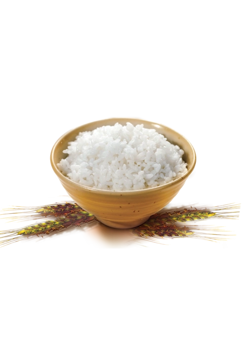 一碗米饭png透明无水印高清免抠图片素材免费分享下载