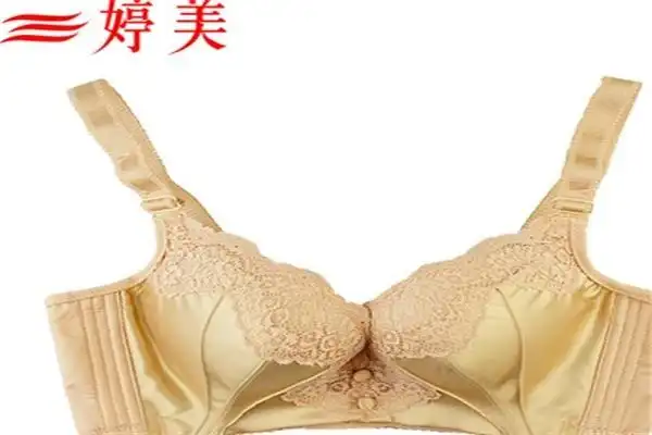 服装鞋包>内衣企业名称:南召县云阳镇婷美内衣店加盟人群:自由创业