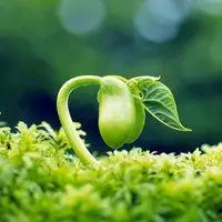 代表新生的微信头像【点击鼠标右键下载】