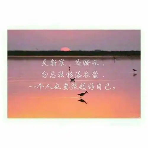 短句精致唯美的句子