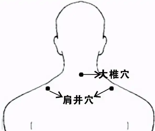 疏通肩颈背部经络,找肩井穴找对方法,自己动动手,可以很好地缓解这个