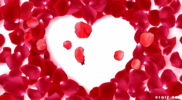 642_353gif 动态图 动图