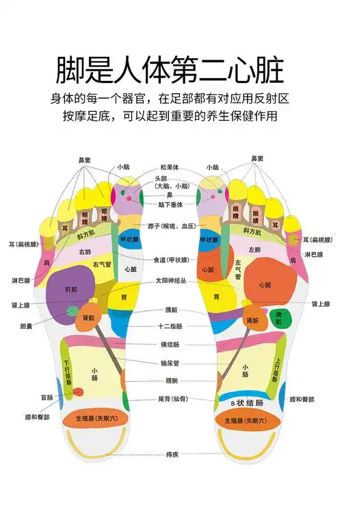 涌泉穴按摩鞋垫 涌泉穴鞋垫刺激脚底穴位养肾气鹅卵石男女士足疗养生