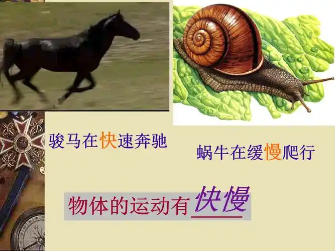 运动快慢的描述速度ppt