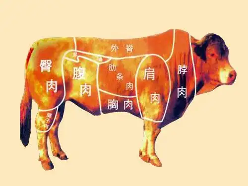 炖牛肉一般买什么样的牛肉