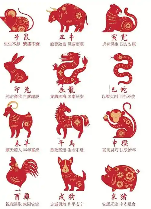 香港朱彦知2024年十二生肖运势大公布