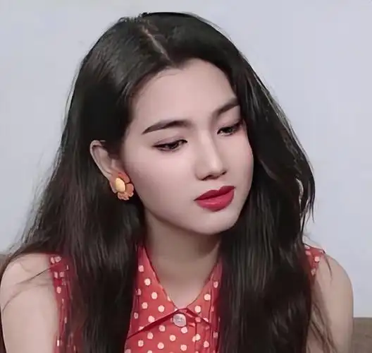 67洪欣个人资料和简历(洪欣的以前的经历)