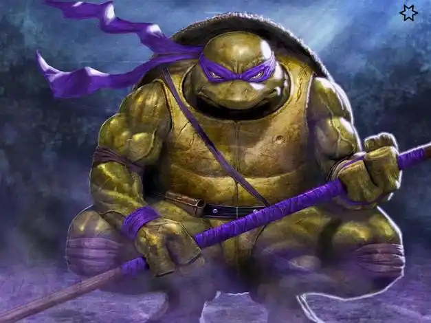 乌龟中的战斗龟忍者神龟四兄弟性格迥异名字各有寓意