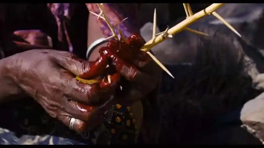 【沙漠之花】"割礼",每次看到都会心头为之颤动,感谢出生在没有对女性