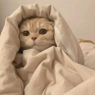 搞笑好看的头像女生搞笑逗比好看的头像女生搞笑可爱好看女生头像动漫