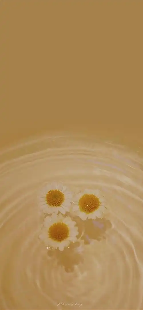 花物语花卉小清新壁纸聊天背景