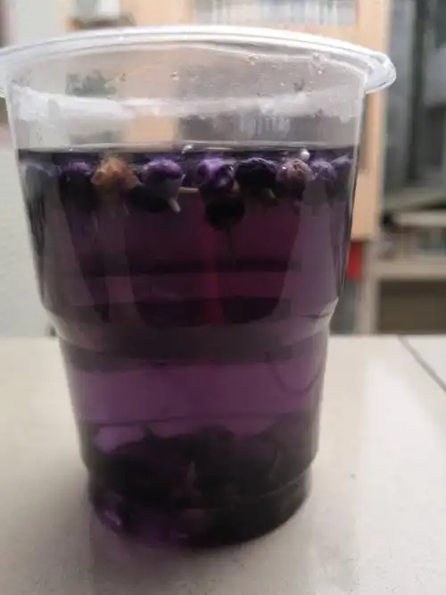 黑枸杞泡水是这种颜色,是正常的吗?