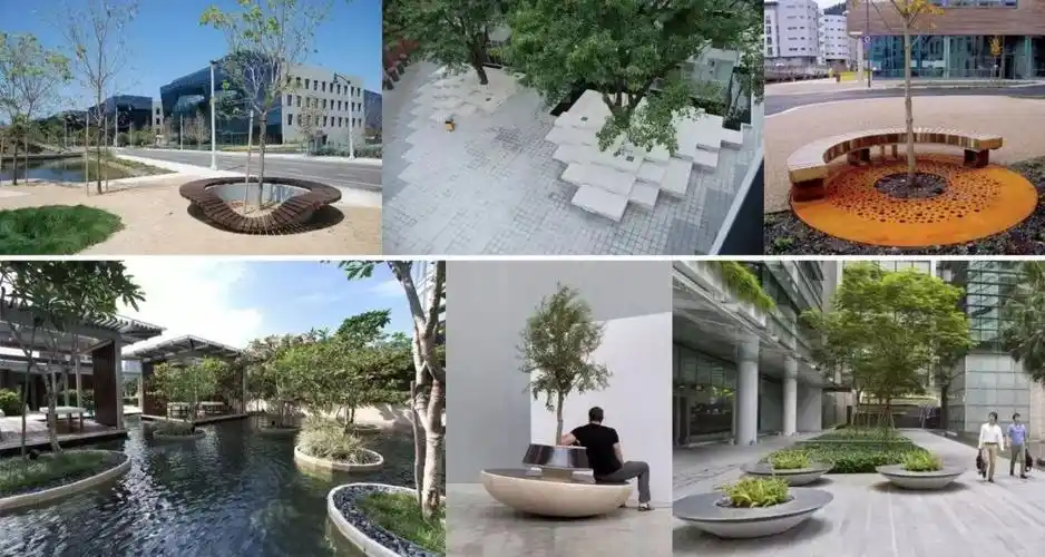 一棵树一片池创意树池讲故事