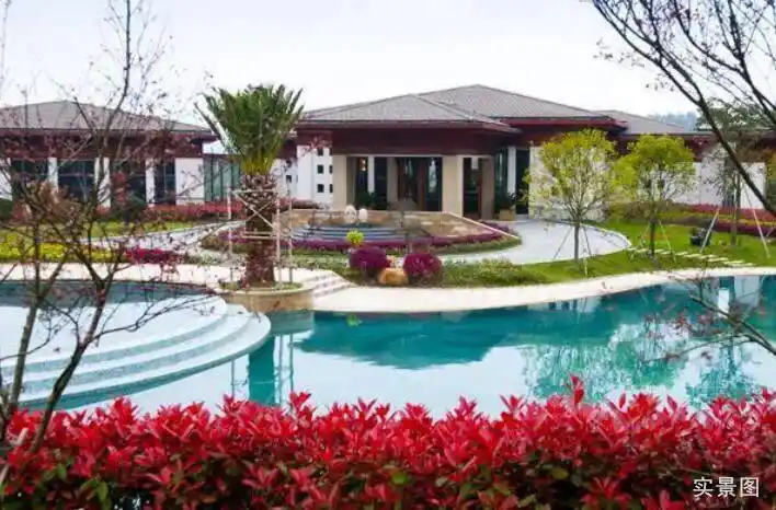 禅域观世界 | 新兴禅域小镇,与世界一路畅行!