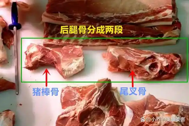 5张图,教你认识猪身不同部位的骨头,从此,菜市场买骨头不迷糊