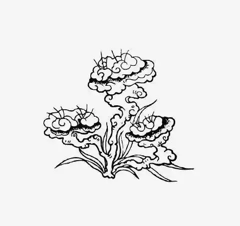 灵芝简笔画步骤 简笔画图片大全-蒲城教育文学网