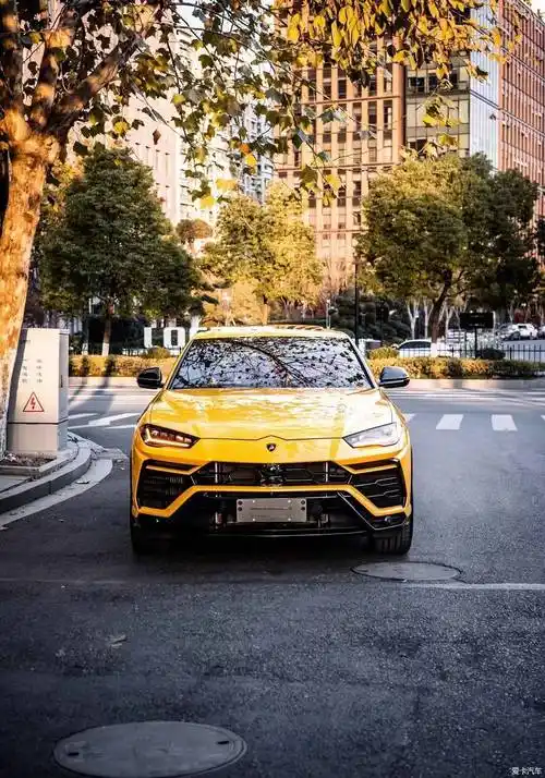 兰博基尼urus已到店 刚跑3000公里-爱卡汽车网论坛