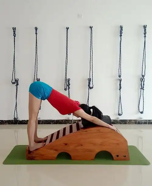 艾扬格瑜伽体式