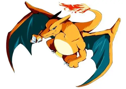 006 喷火龙(リザードン/charizard)