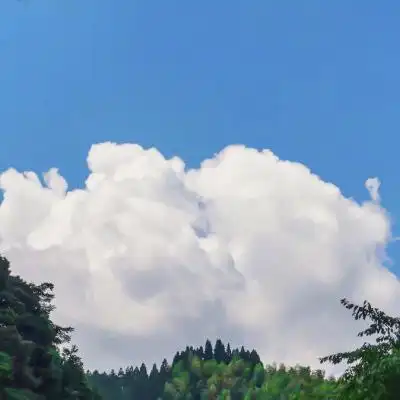 可爱风景头像图片背景图大全发现生活的美好图片头像集