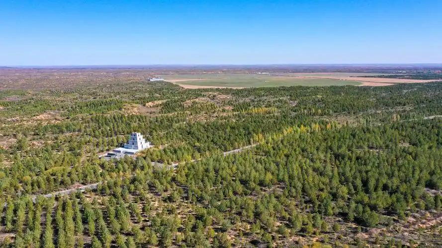 【母亲河畔的中国】毛乌素沙漠里的"金山银山"