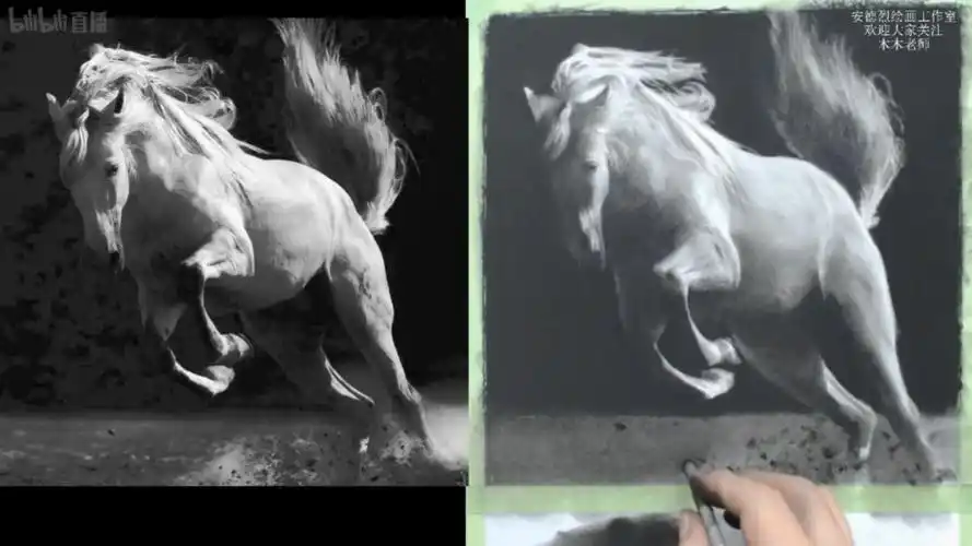 素描动物公开示范课"马"3——昭道·安德烈木木