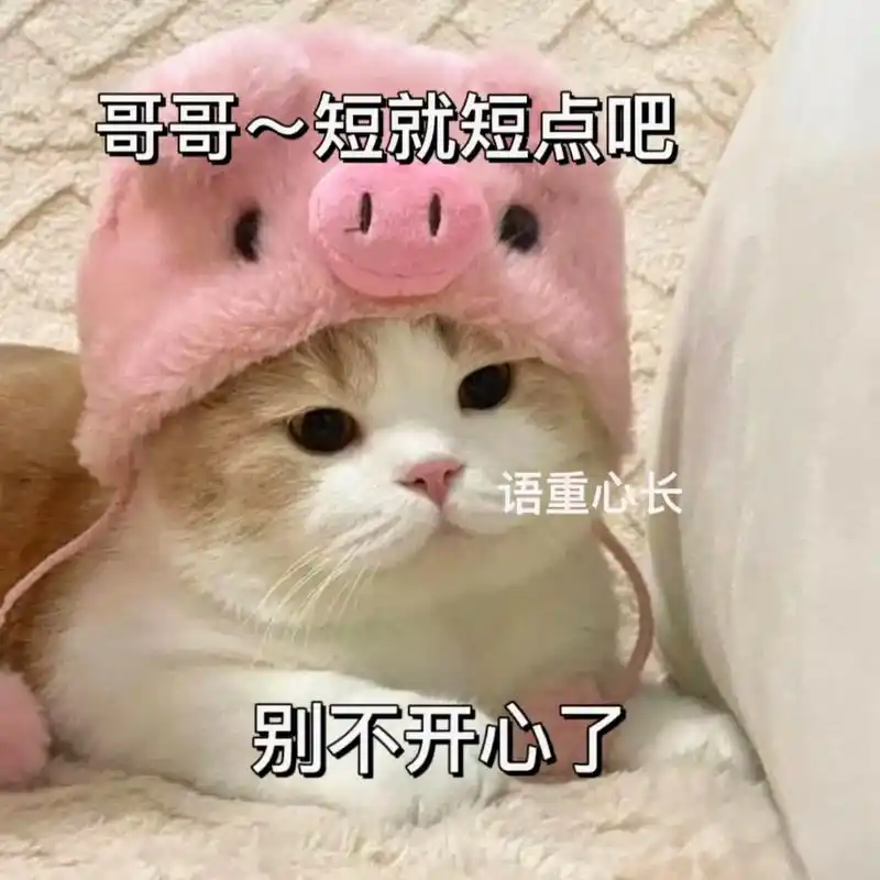 gege～乖,不就是短点嘛,没关系的哈#猫咪表情包 #表情包 - 抖音