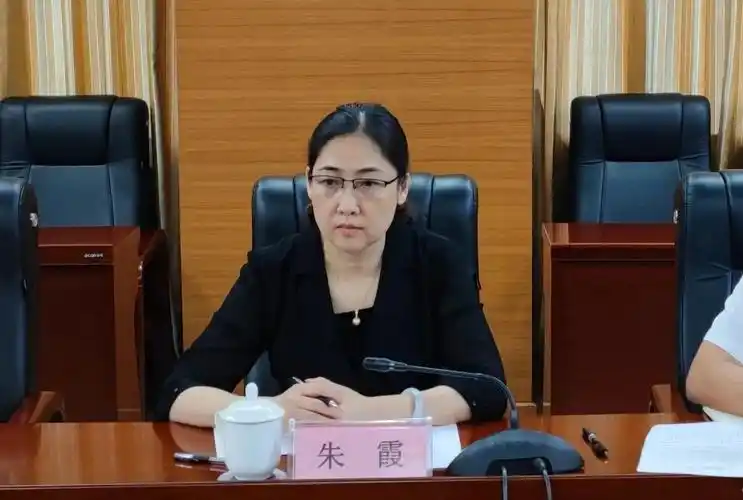 企业服务年致公党柳州市委会召开同舟共济携手并进助力企业服务年座谈