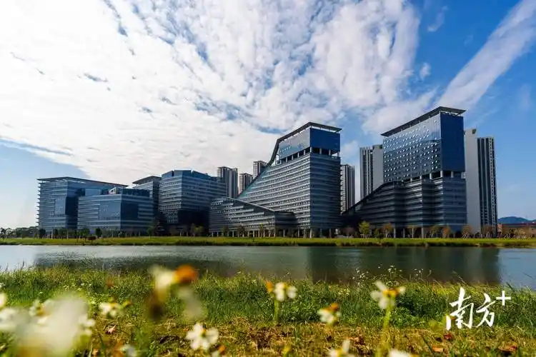 深读|目标国家级平台,中山翠亨新区新年打响升级战