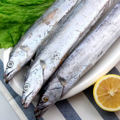 山东青岛小眼带鱼新鲜冷冻10斤鲜活舟山海鱼带鱼