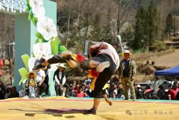 范晓宇彝族传统摔跤摄影 范晓宇彝族传统斗羊斗羊比赛中,两只羊如同