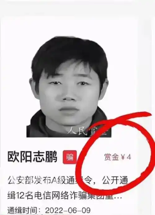 近日,有网友发现一个名为欧阳志鹏的电诈犯罪嫌疑人,被通缉的悬赏金额