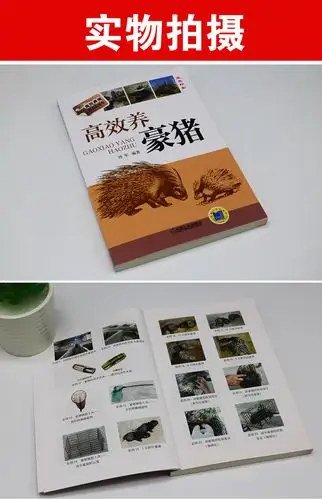 高效养豪猪豪猪养殖书籍 豪猪繁殖与育种 豪猪饲养管理 刺猪疾病防治