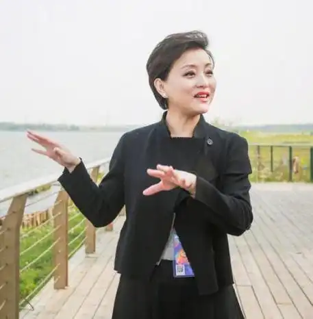 51岁主持人杨澜近照曝光端庄大方风采依旧